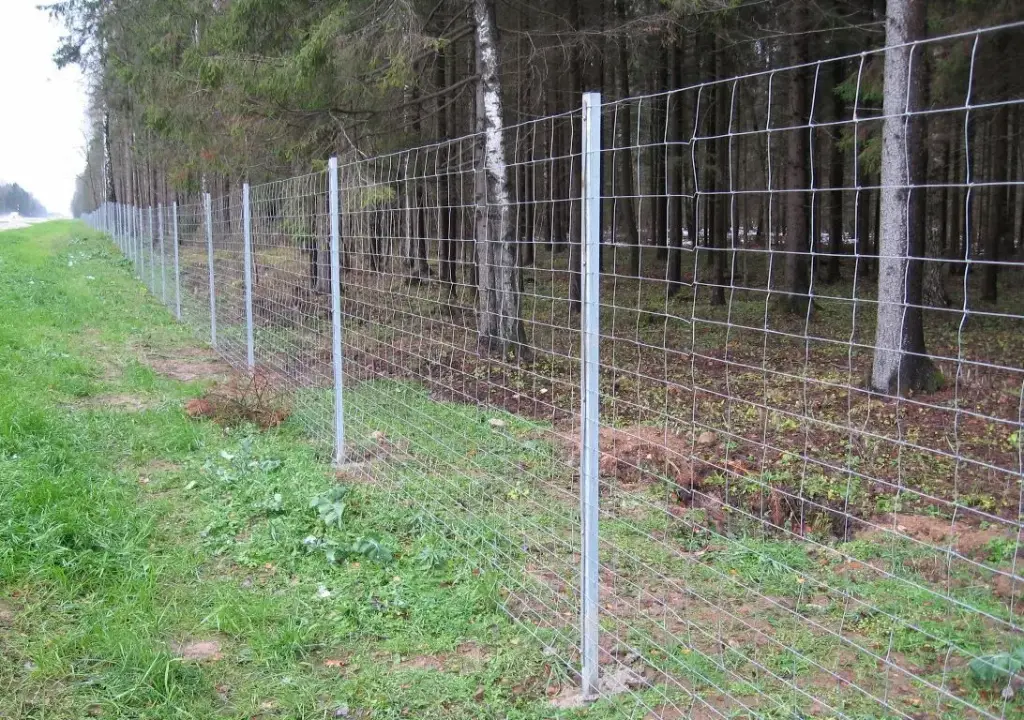 Plasa innodata zincata h-1.16m