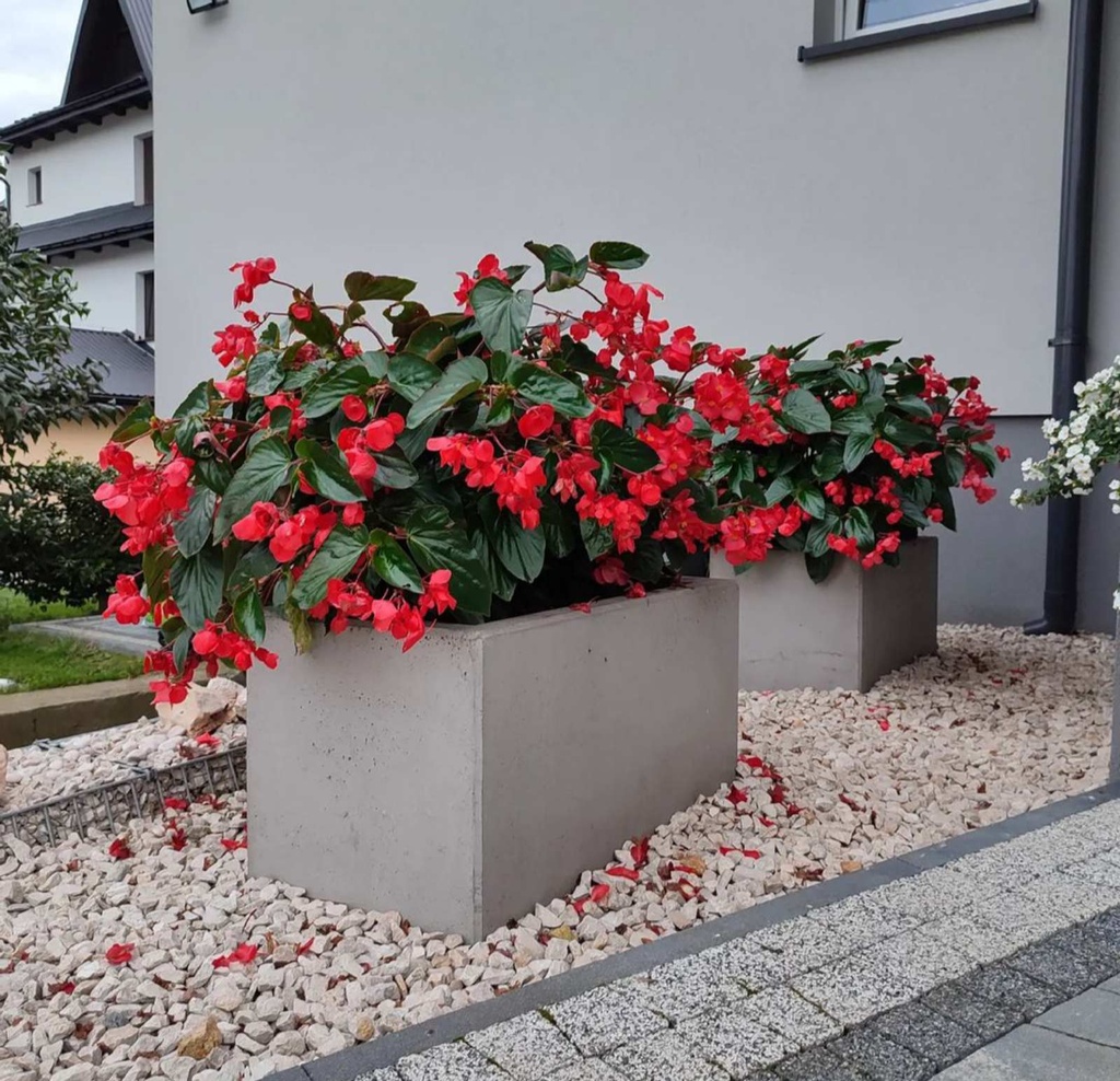 Jardiniera stradala (Kadiz  M) Dimensiuni:300x600x300 mm Greutate:58 kg Volum:26