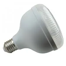 Bulb Led 800im 10w