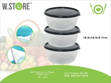  Container 3*1.750L
