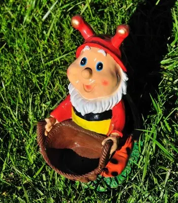 Buburuz 