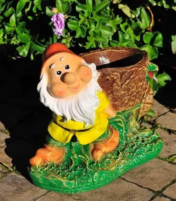 Pitic cu țestoasă (ghiveci)