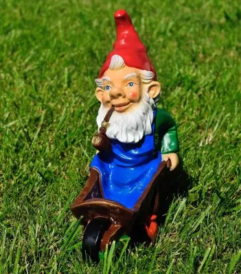 Pitic cu roabă (mic)