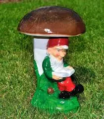 Pitic care citește (mic)