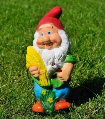 Pitic cu spice (mic)