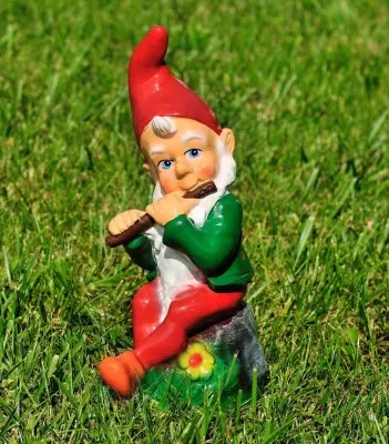 Pitic cu fluier (mic)