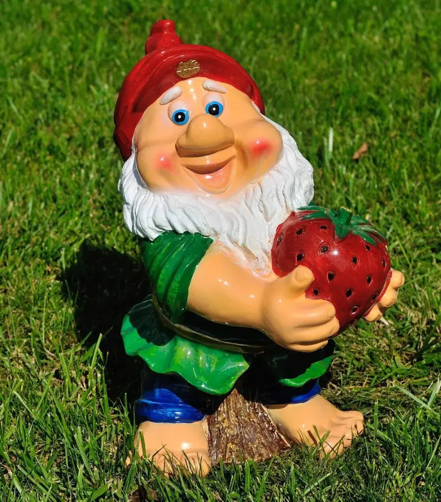 Pitic cu căpșună (mediu), H = 47 cm