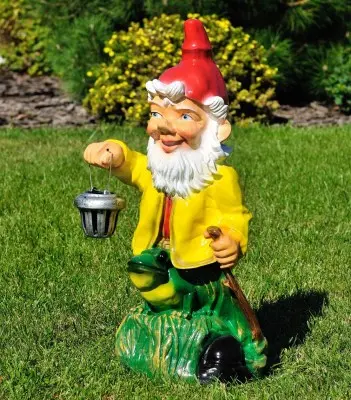 Pitic cu broască (mare)