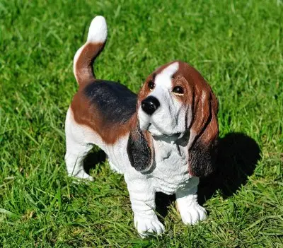 Basset