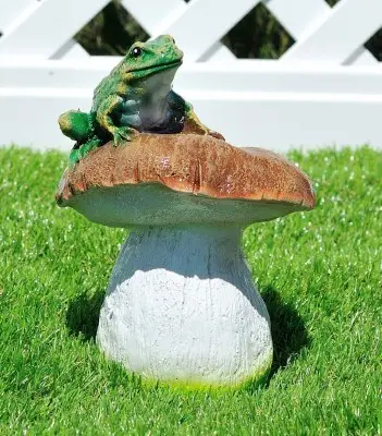 Ciuperca cu broscuță