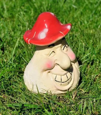 Ciuperca zîmbăreață