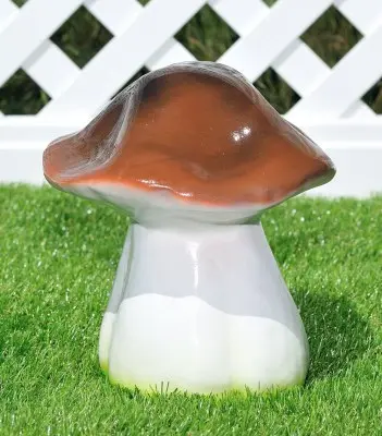 Ciuperca albă (medie)