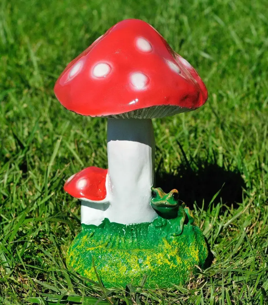 [Cod 5.323] Amanita cu broscuță, H = 30 cm