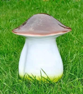 Ciuperca albă (mare)