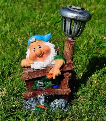 Pitic lîngă gard (mic)