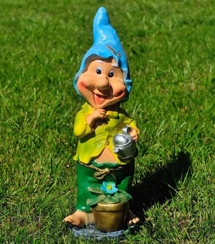 Pitic cu stropitoare (mediu)