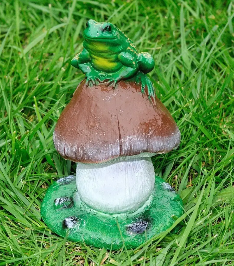 Ciuperca albă cu broscuță, H = 23 cm