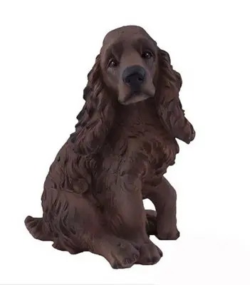 Spaniel