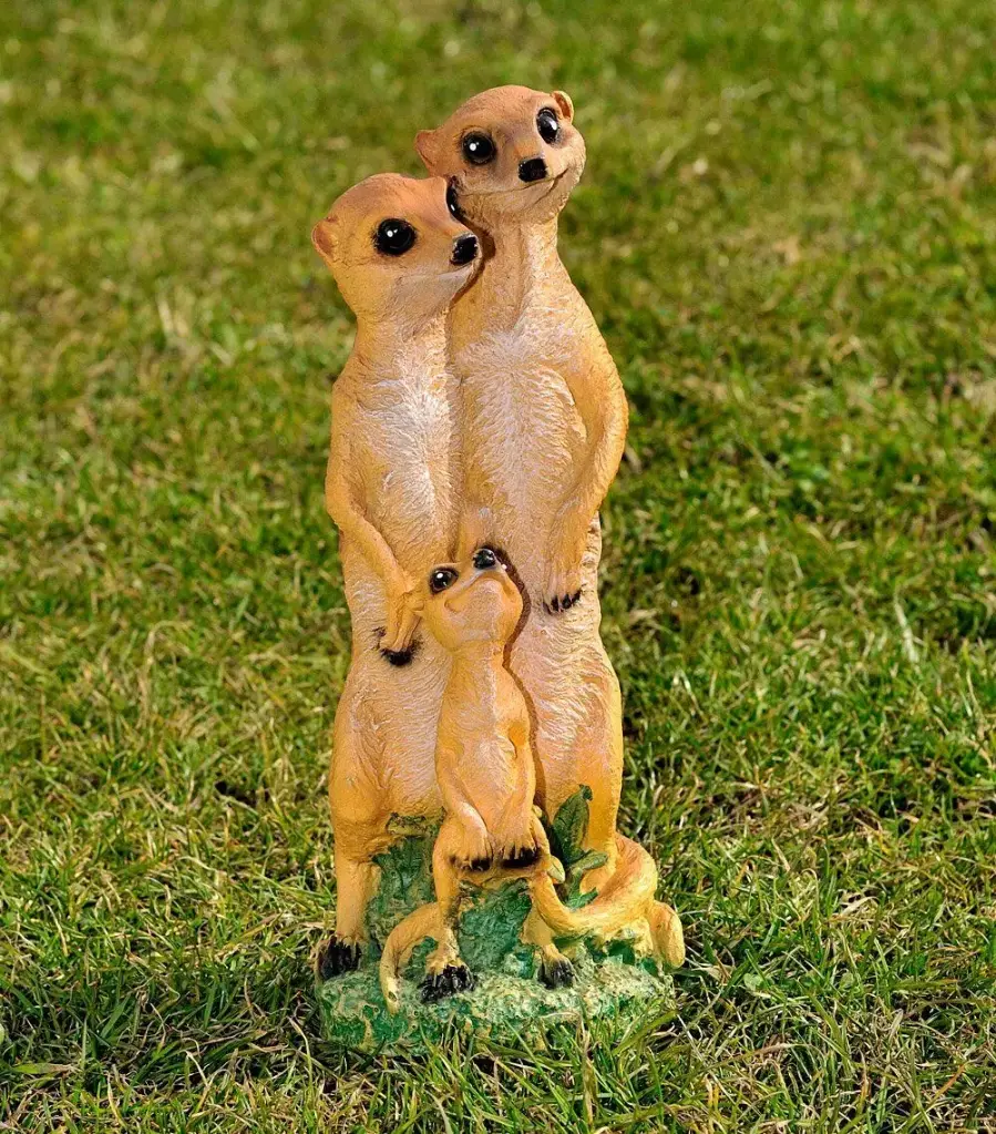 Familia de popîndăi