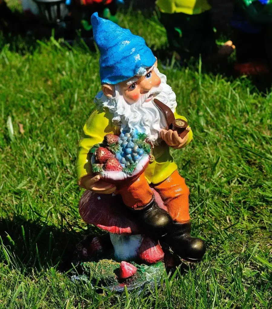 Pitic cu fructe de pădure (mediu) h-44cm