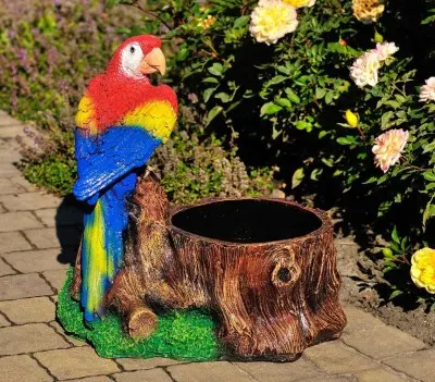 Trunchi cu papagal (ghiveci)