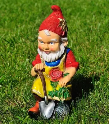 Pitic cu trandafir (mic)