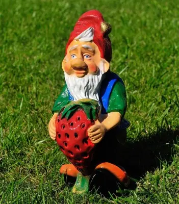 Pitic cu căpșună (mic)