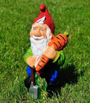 Pitic cu morcov (mic)