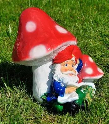 Pitic povestitor (mediu)