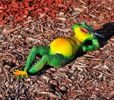 Broscuța la odihnă