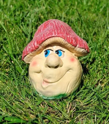 Ciupercuța veselă (medie)