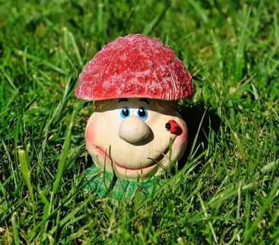 Ciupercuța veselă (mică)