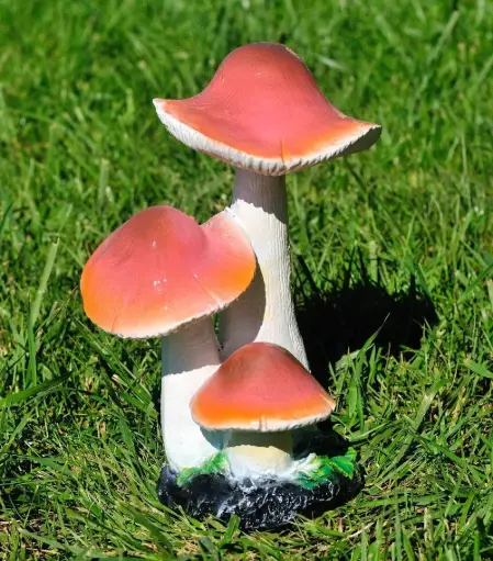 Hulubițe, H = 28 cm