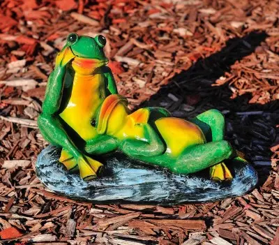 Broscuțele visătoare