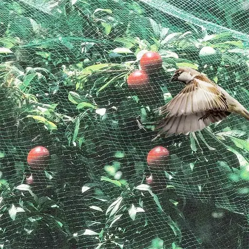 391101 Plasa anti păsări 4x10m verde