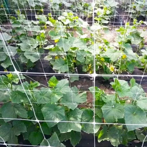 392001 Plasa verticală p/u plante 2x20m albă Profmet